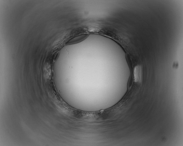 X0000115621443200911241613