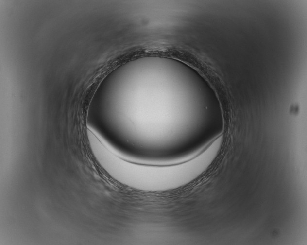 X0000115621445200911241613