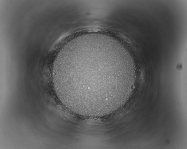 X0000115621446200911241613