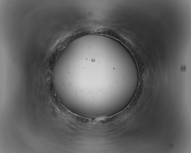 X0000115621447200911241613