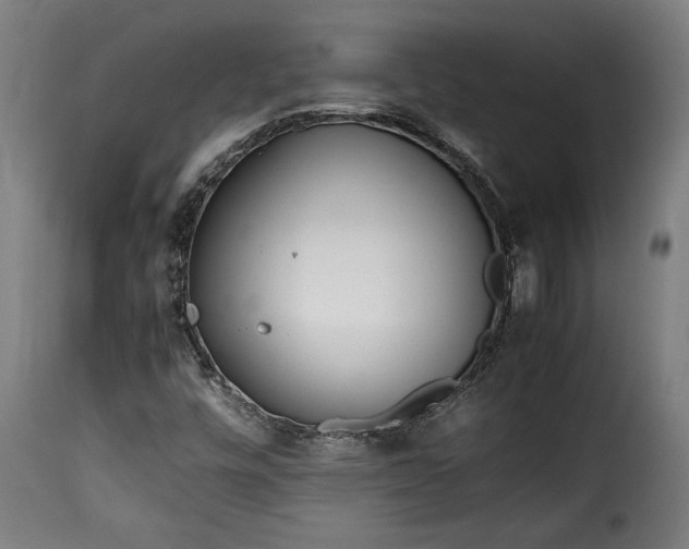 X0000115621448200911241613