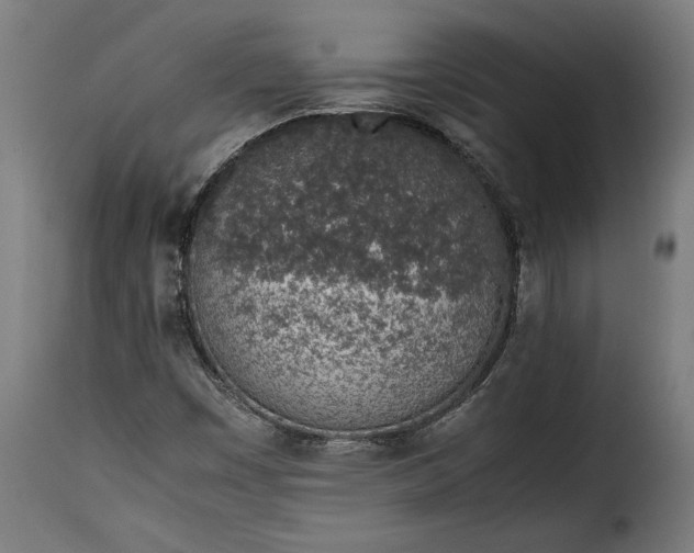 X0000115621449200911241613