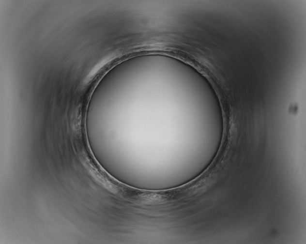 X0000115621450200911241613