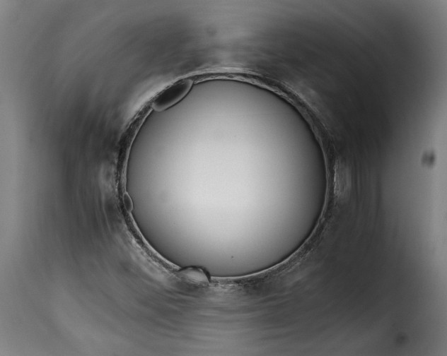 X0000115621452200911241613