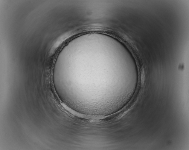 X0000115621453200911241613