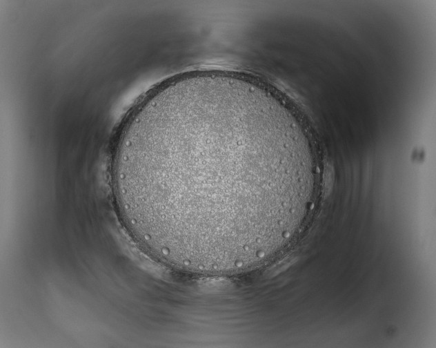 X0000115621454200911241613