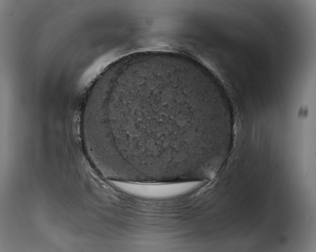 X0000115621455200911241613