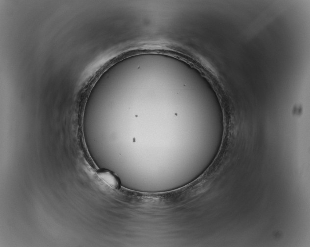 X0000115621456200911241613