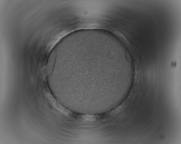 X0000115621457200911241613