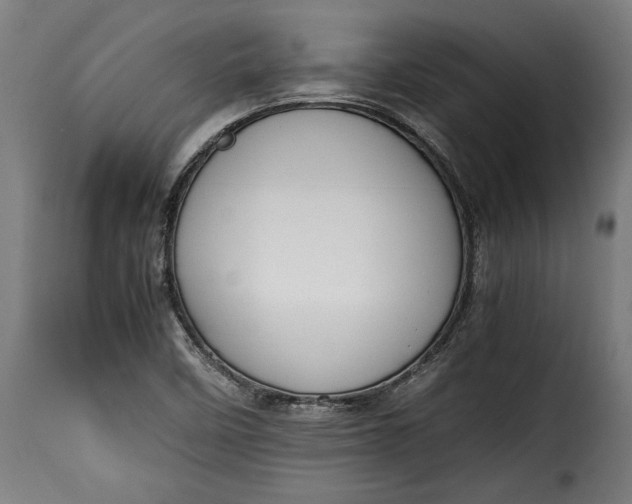 X0000115621458200911241613