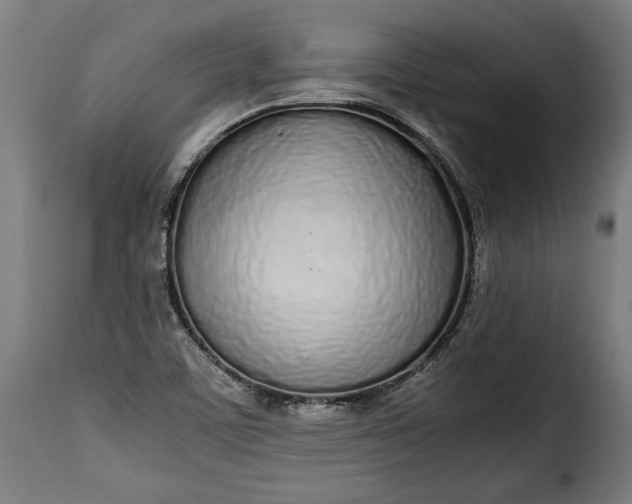 X0000115621459200911241613