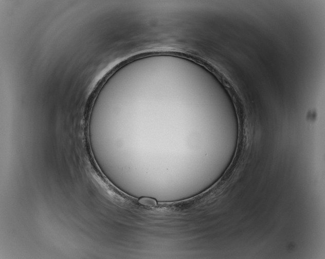 X0000115621460200911241613