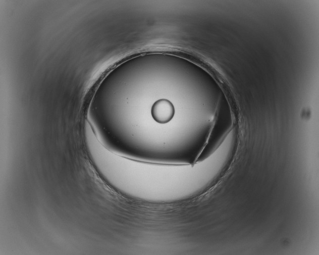 X0000115621461200911241613