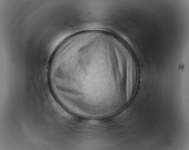 X0000115621463200911241612