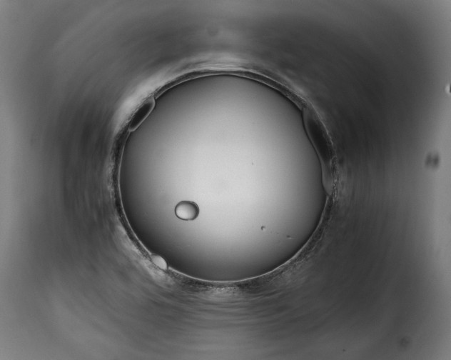 X0000115621464200911241612