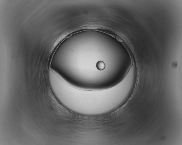 X0000115621465200911241612