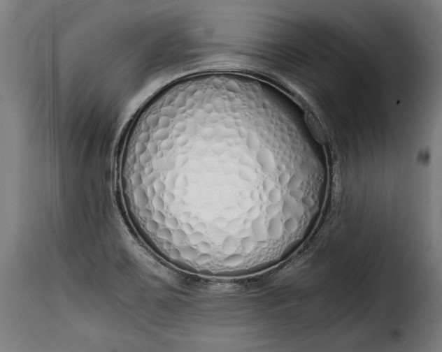 X0000115621467200911241612