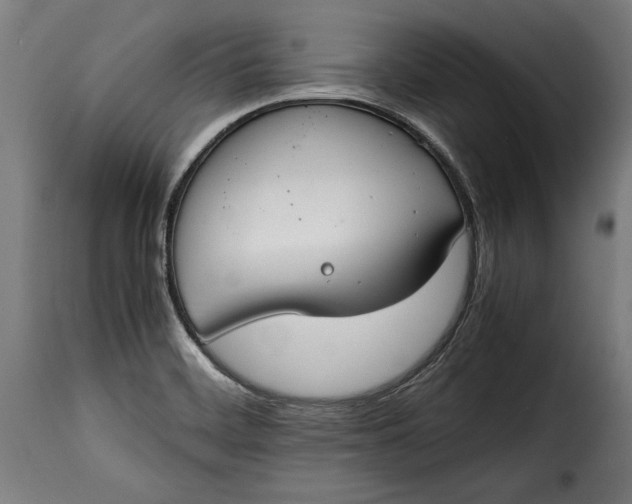 X0000115621468200911241612