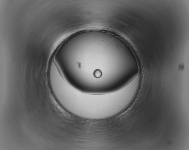 X0000115621469200911241612