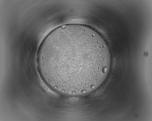 X0000115621470200911241612