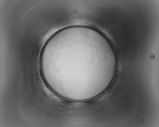 X0000115621471200911241612