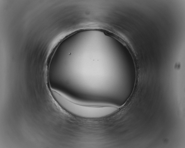 X0000115621472200911241612