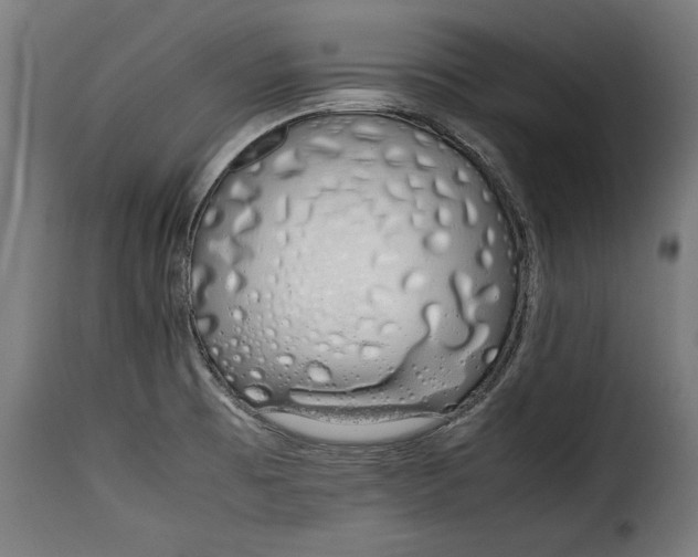 X0000115621473200911241612