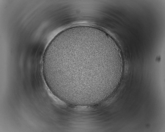 X0000115621474200911241612