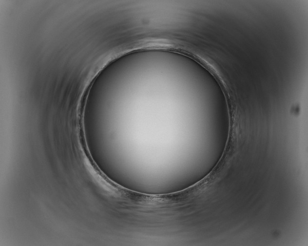 X0000115621475200911241612