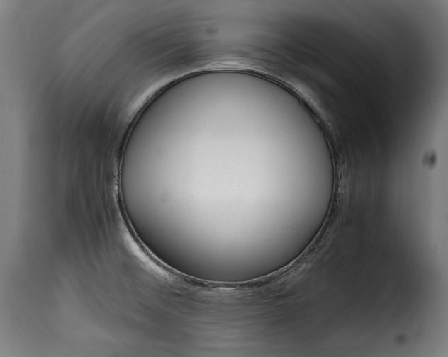 X0000115621476200911241612