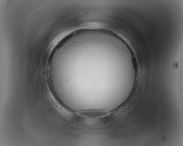 X0000115621477200911241612