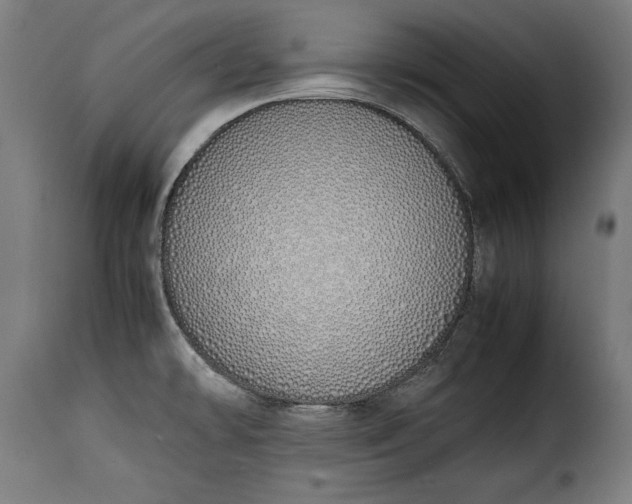 X0000115621478200911241612