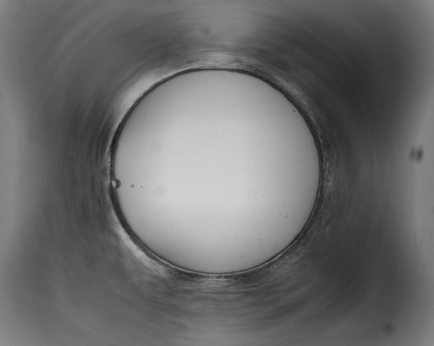 X0000115621479200911241612