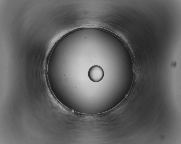 X0000115621480200911241612