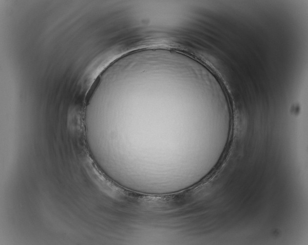 X0000115621481200911241612