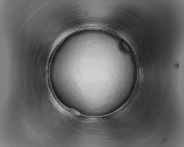 X0000115621482200911241612