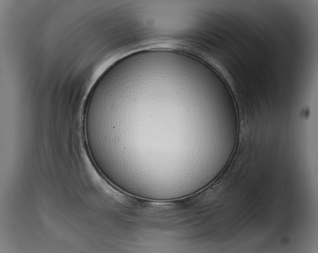 X0000115621483200911241612