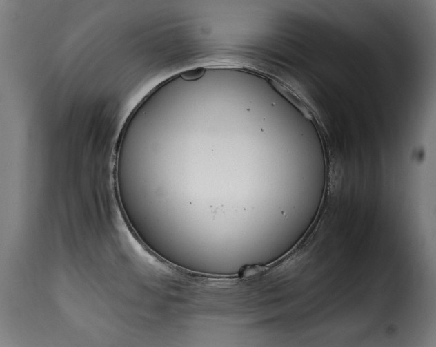 X0000115621484200911241612