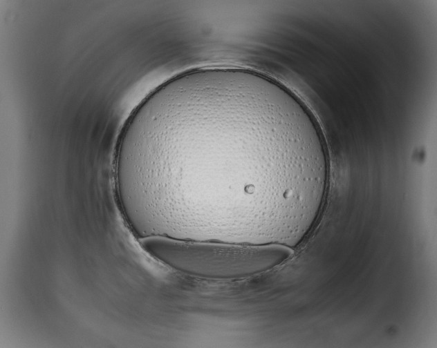 X0000115621485200911241612