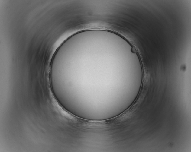 X0000115621486200911241612