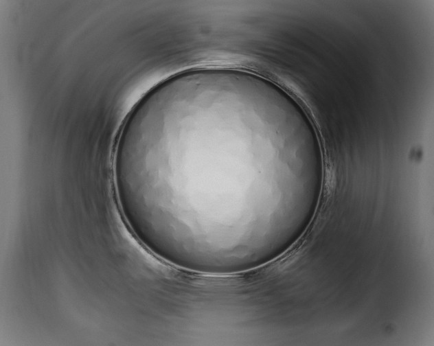 X0000115621487200911241612