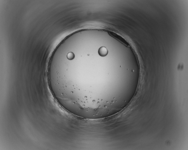 X0000115621488200911241612