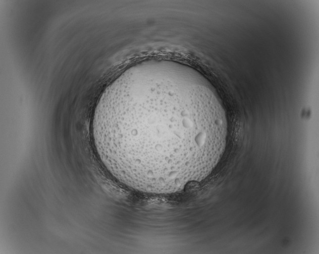 X0000115621489200911241611