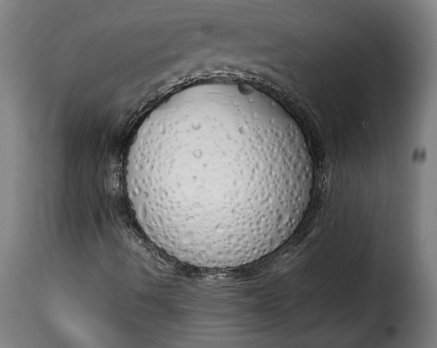 X0000115621490200911241611