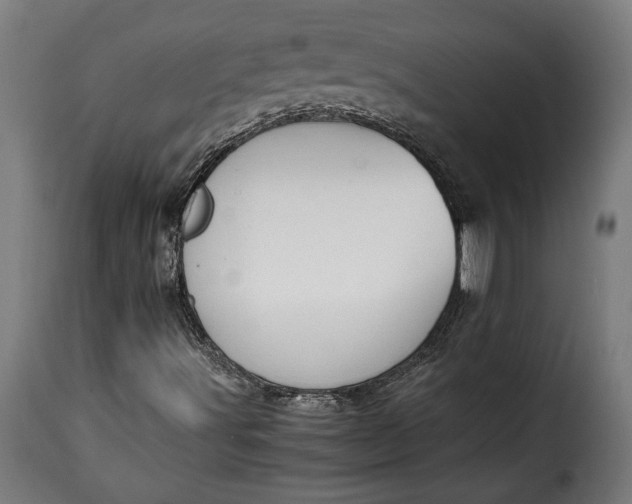 X0000115621491200911241611