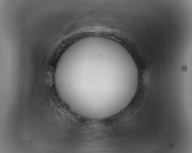 X0000115621493200911241611