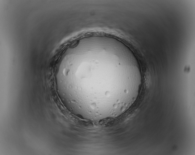 X0000115621494200911241611