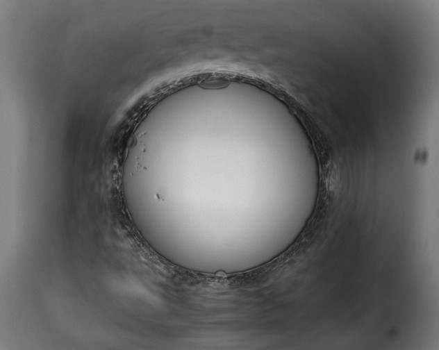 X0000115621495200911241611