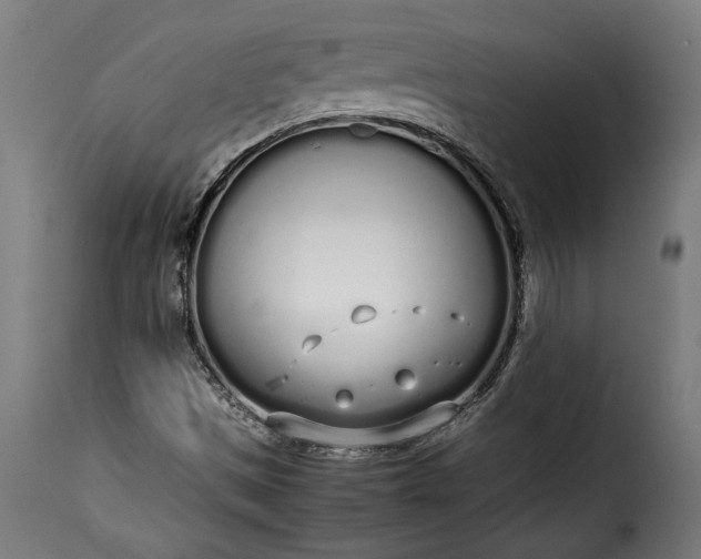 X0000115621497200911241611