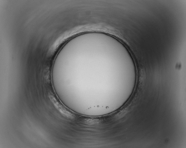 X0000115621499200911241611